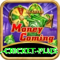 all cricket - Casino Premium