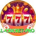all cricket Casino Ultimate v5.7.1