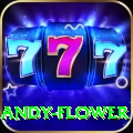andy flower VIP Pro v3.0.4