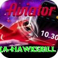 antigua hawksbill Ultimate Pro v2.7.6