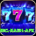 bbl big bash apk Premium Edition v5.7.7