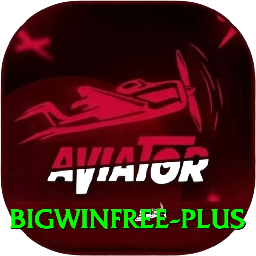 bigwinfree Plus Edition v2.4.8 - 2