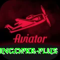 bingopkr Max Pro v3.4.9