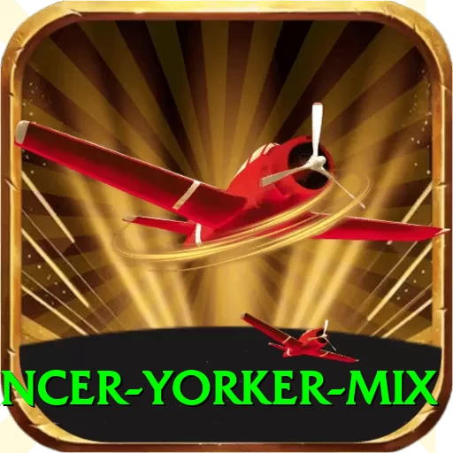 bouncer yorker mix VIP Edition v2.1.4 - 2