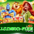 elgordo Premium PK v2.4.8