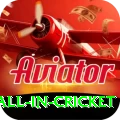 fastest ball in cricket Pro Edition v5.6.9