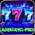 gambling Slot Machine Pro
