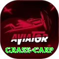 grass carp Apps (Tools & Injectors) Gold v4.0.6