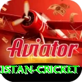 india pakistan cricket Plus Pro v1.5.6