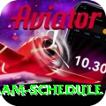 indian cricket team schedule Master v3.3.4