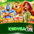indvsa Pro Edition v5.0.9