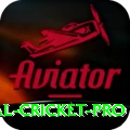 international cricket Pakistan Master v5.3.2