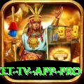 live cricket tv app Pakistan Elite v4.8.7