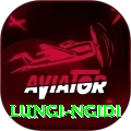 lungi ngidi Pro Edition v3.5.1