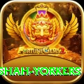 naseem shah yorkers Gold Pro v1.8.9