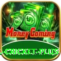 nepal cricket Casino Official v3.1.2