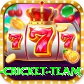new zealand cricket team Max v1.1.4