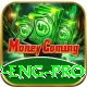 pak v eng Pro v2.8.2