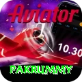 pakrummy Deluxe Pro v2.1.9