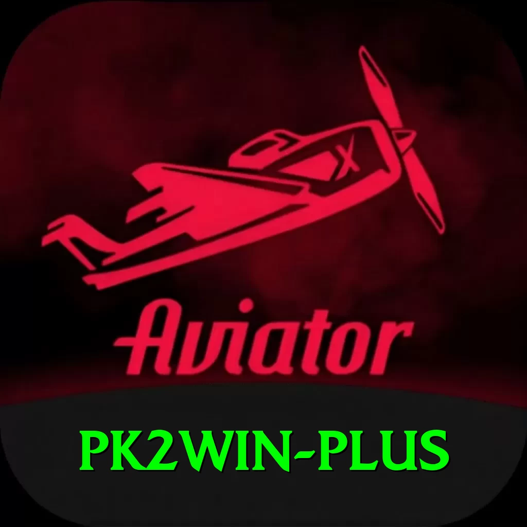 pk2win VIP v5.3.8 - 2