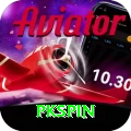 pkspin Plus Edition v4.1.9