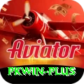 pkwin Deluxe Edition v3.5.6