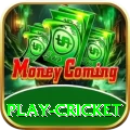 play cricket Apps (Tools & Injectors) Gold v4.5.3