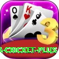 r cricket - VIP Elite