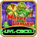 smartcric live cricket Deluxe v3.4.2