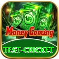 test cricket Pro Edition v5.6.0