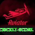 test cricket score Pro Edition v4.6.2