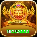 tiger888 Plus v1.7.6