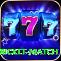to day cricket match Turbo v4.9.4