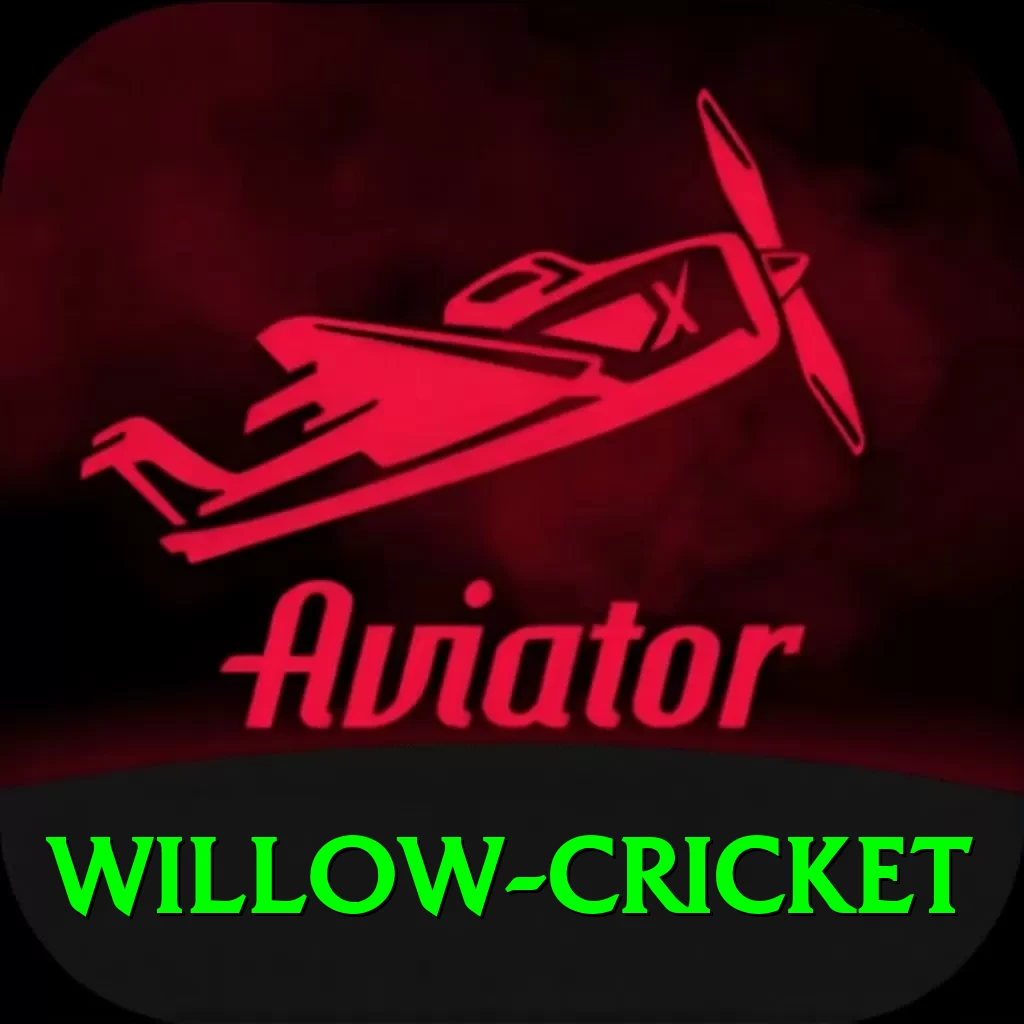 willow cricket Deluxe v5.8.8 - 2