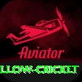 willow cricket Deluxe v5.8.8